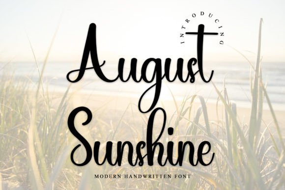A Designer’s Real-World Review of the August Sunshine Font