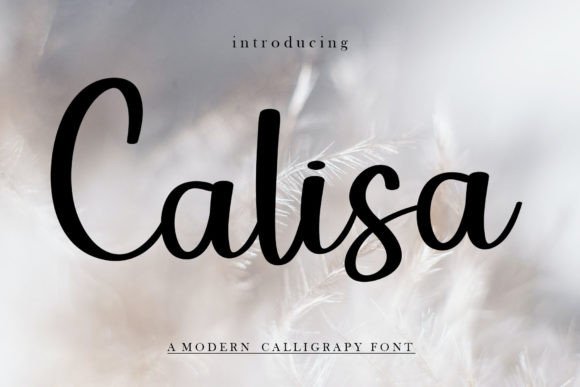 Adding a Sweet Touch to Digital Projects: Exploring the Calisa Font