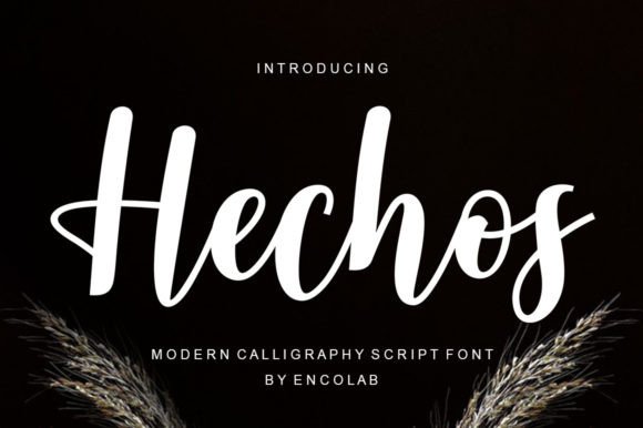 Hechos: The Script Font That Sharpens Your Campaign Message