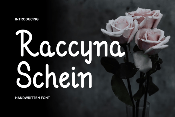 Raccyna Schein: A Bold Display Font for Modern Campaigns