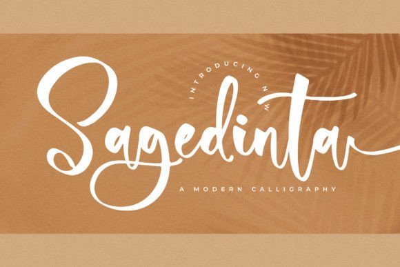 Sagedinta: A Modern Calligraphy Font for Elegant Branding