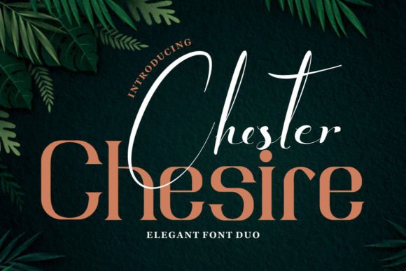 The Chester Chesire Font Duo: An Elegant Branding Choice